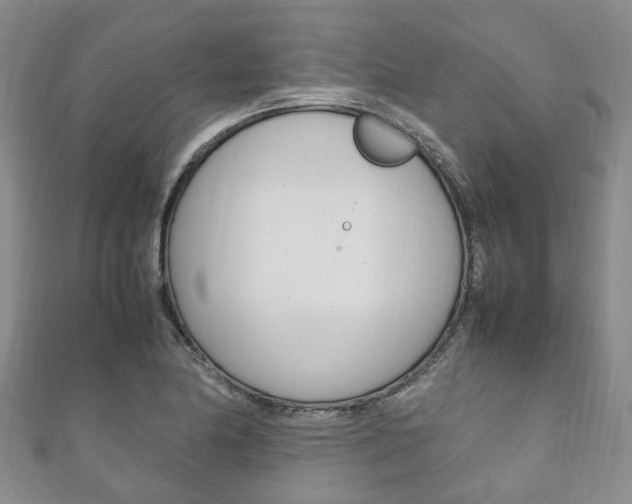 X0000111211174200907011045