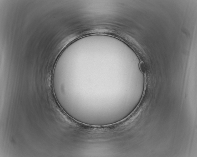 X0000111211177200907011045