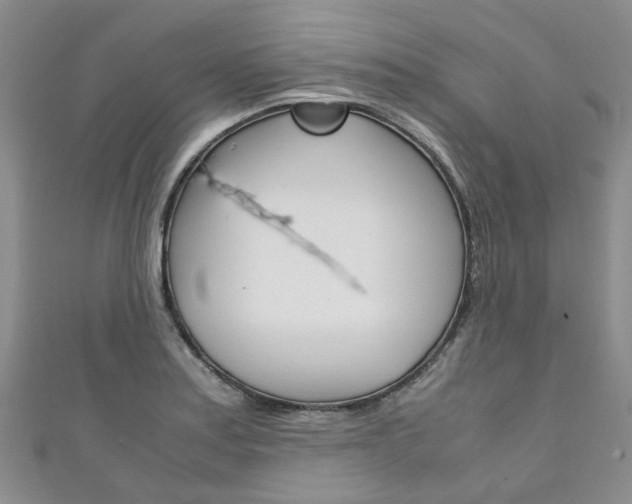 X0000111211179200907011045