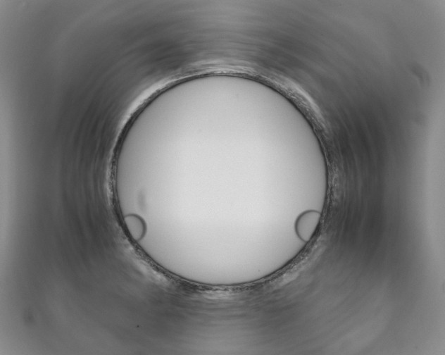 X0000111211182200907011045