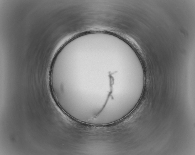 X0000111211183200907011045