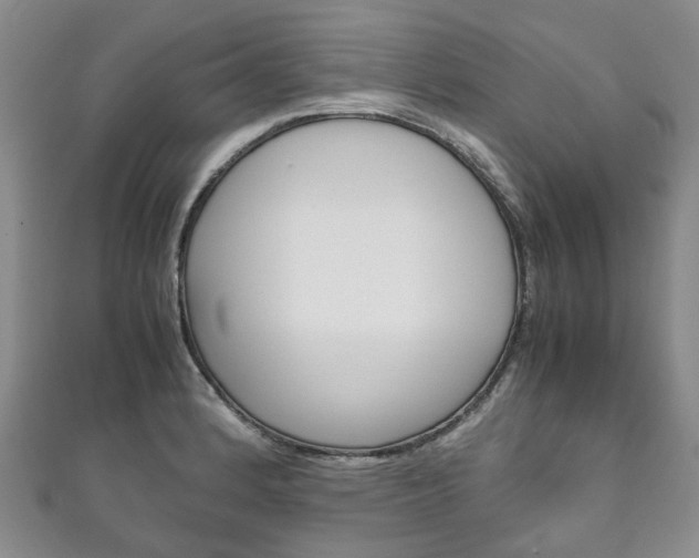 X0000111211184200907011045