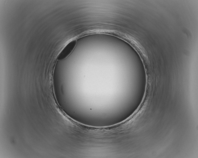 X0000111211185200907011045