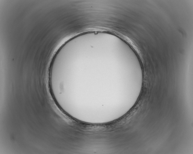 X0000111211187200907011044