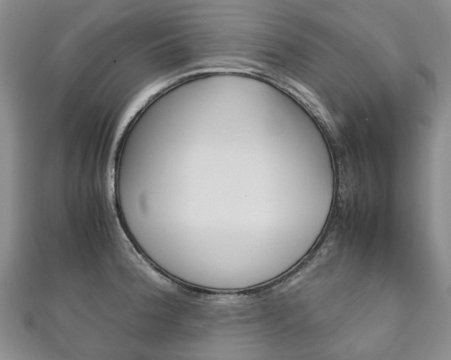 X0000111211188200907011044
