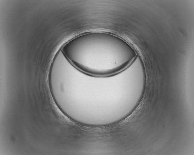 X0000111211189200907011044