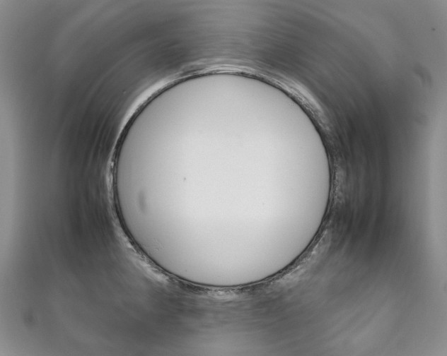 X0000111211190200907011044