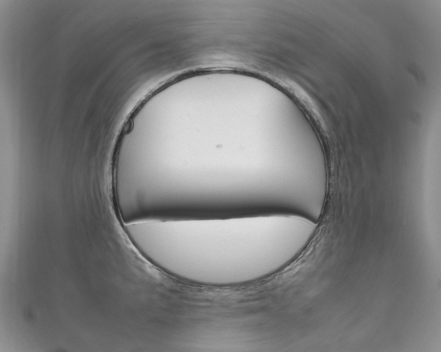 X0000111211191200907011044