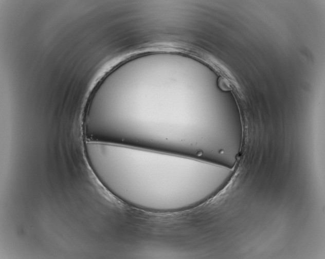 X0000111211192200907011044