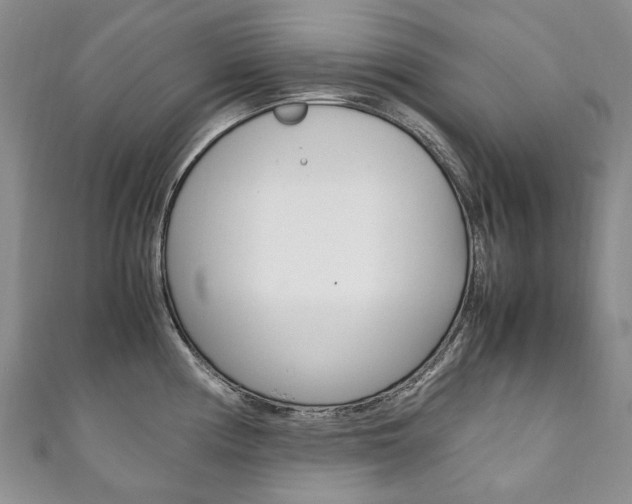 X0000111211194200907011044