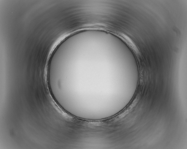 X0000111211196200907011044