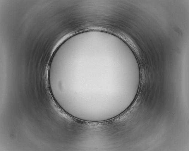 X0000111211198200907011044