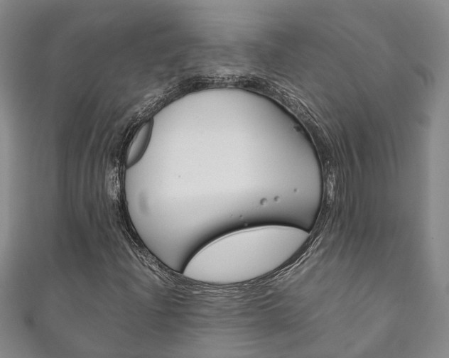 X0000111211204200907011043