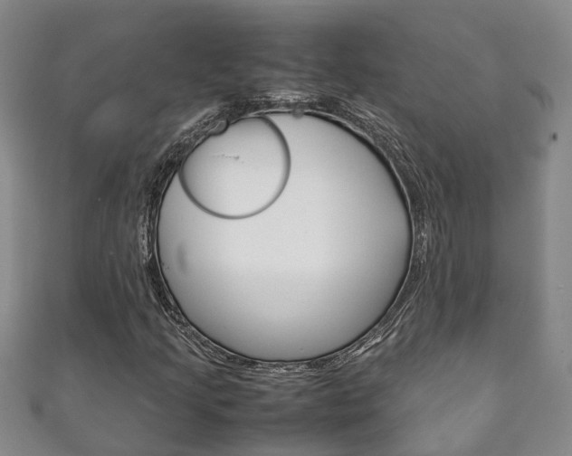 X0000111211205200907011043