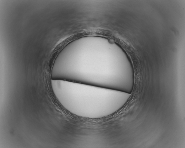 X0000111211206200907011043