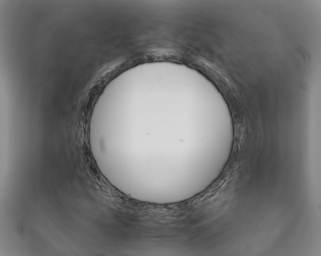 X0000111211207200907011043