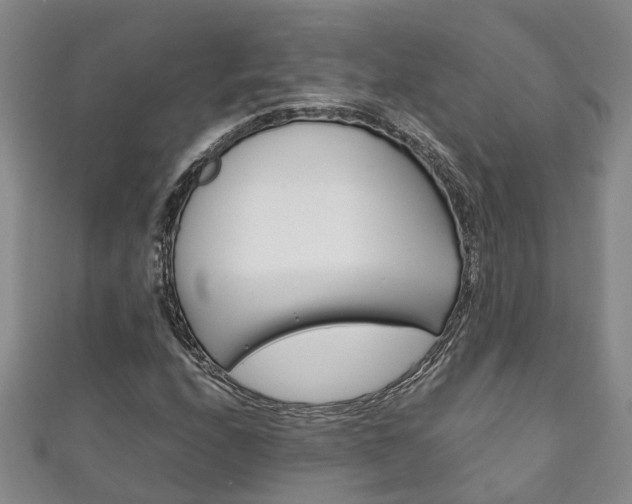 X0000111211208200907011043