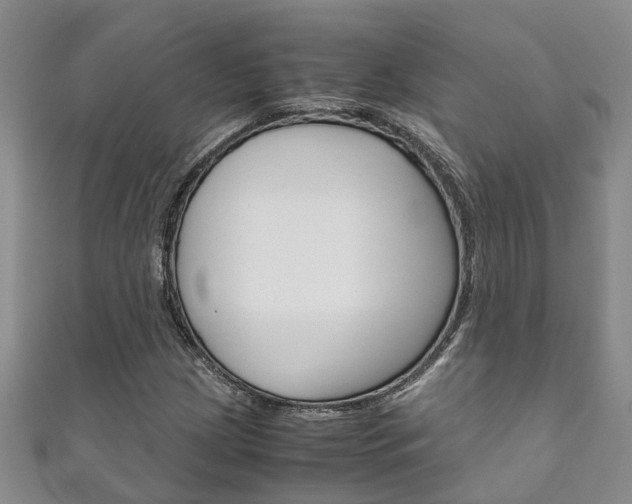 X0000111211209200907011044