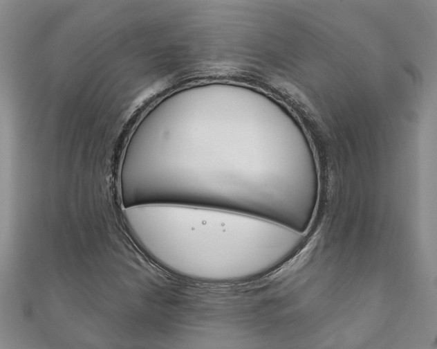 X0000111211210200907011044