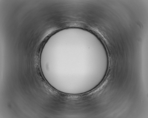 X0000111211211200907011044