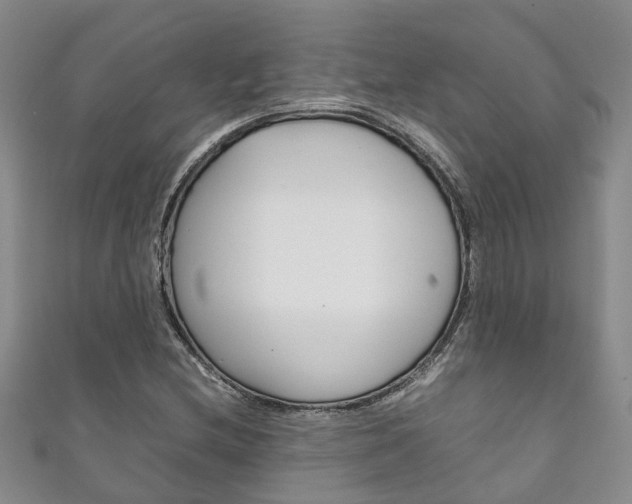 X0000111211212200907011044