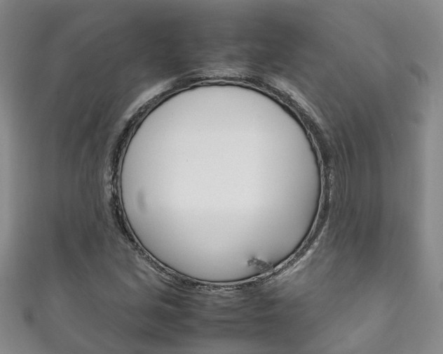 X0000111211213200907011044
