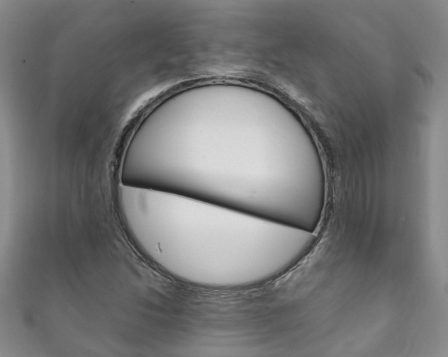 X0000111211214200907011044