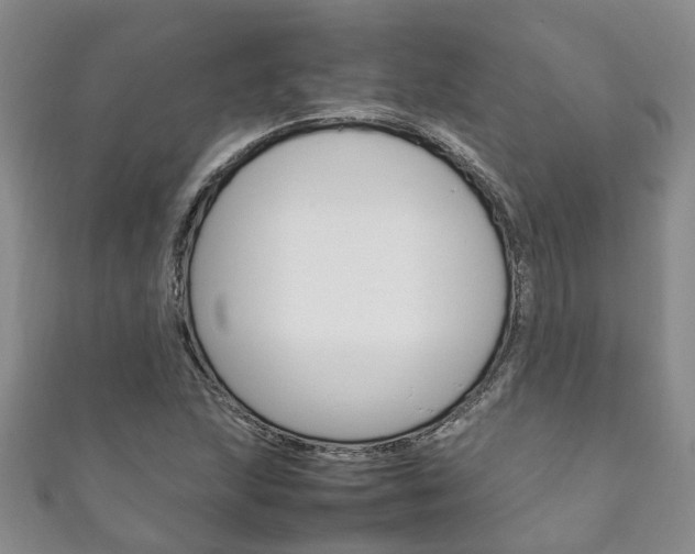 X0000111211215200907011044