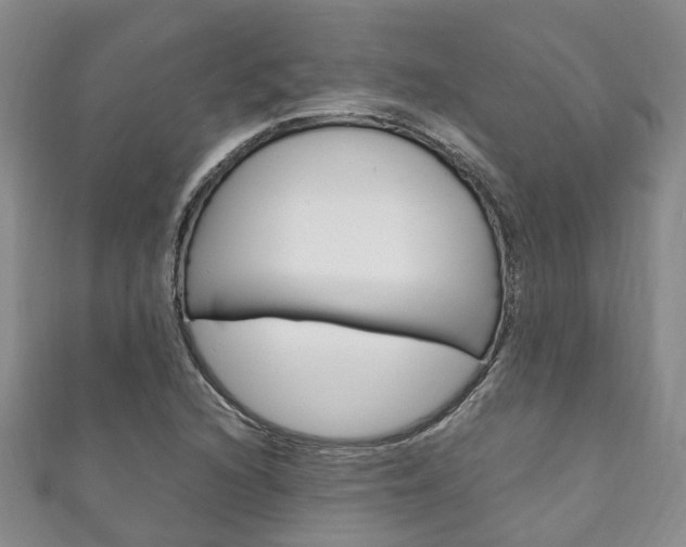 X0000111211216200907011044