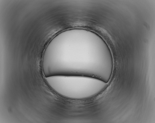 X0000111211217200907011044