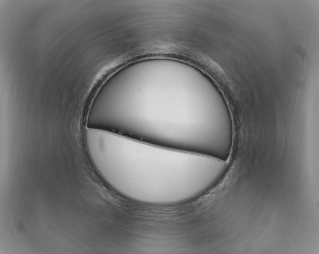 X0000111211218200907011044