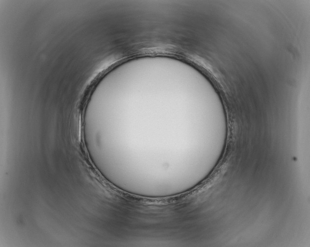 X0000111211219200907011044
