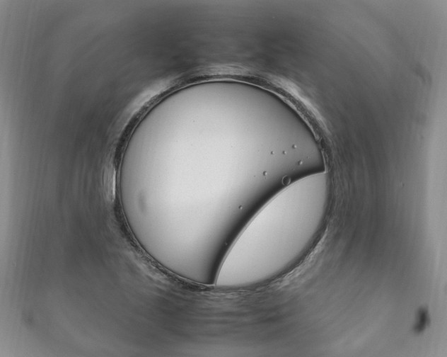 X0000111211221200907011044