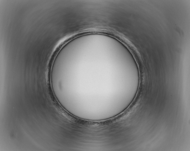 X0000111211222200907011044