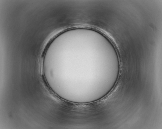 X0000111211223200907011044