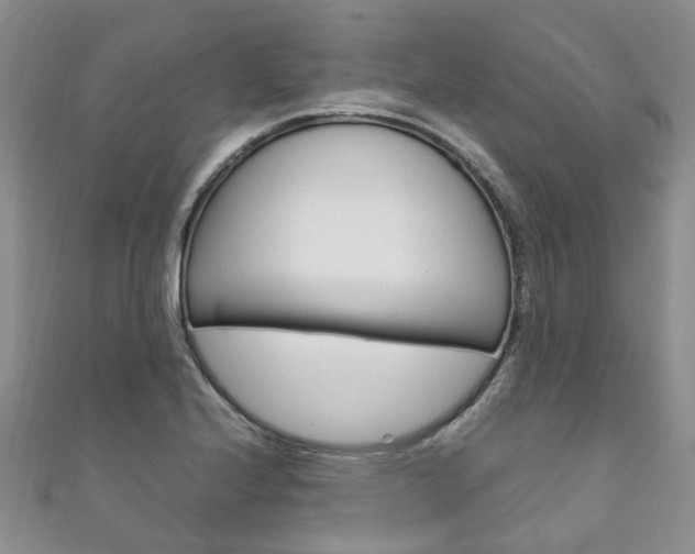X0000111211224200907011044