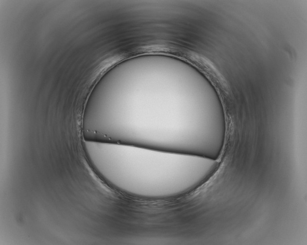 X0000111211225200907011044
