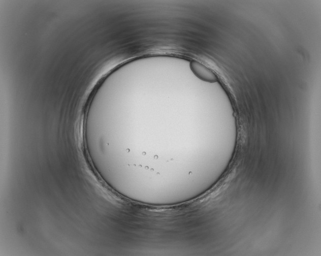 X0000111211227200907011044