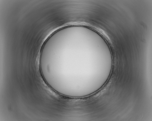 X0000111211228200907011044