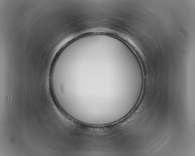 X0000111211229200907011044