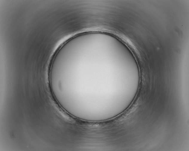 X0000111211230200907011044