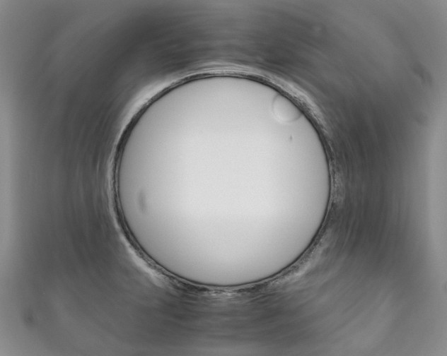 X0000111211231200907011044
