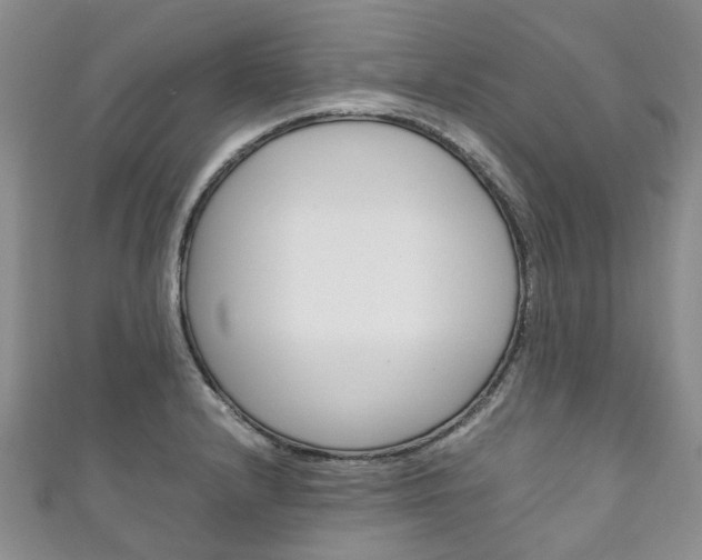X0000111211232200907011044