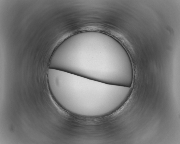 X0000111211233200907011044