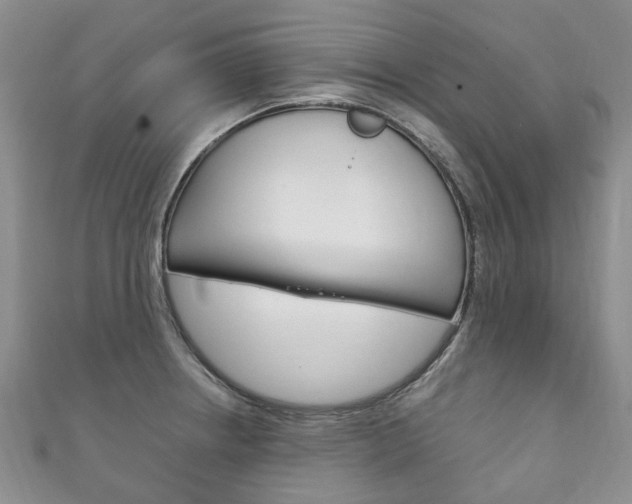 X0000111211234200907011044