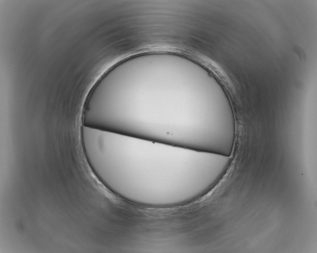 X0000111211236200907011044