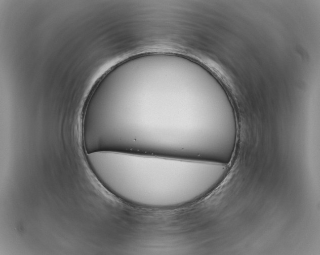 X0000111211238200907011044