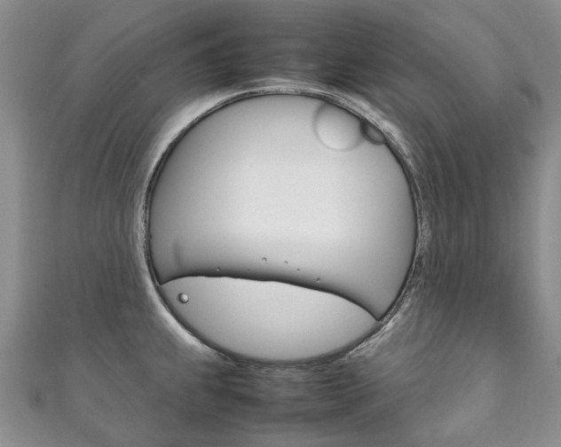 X0000111211239200907011044