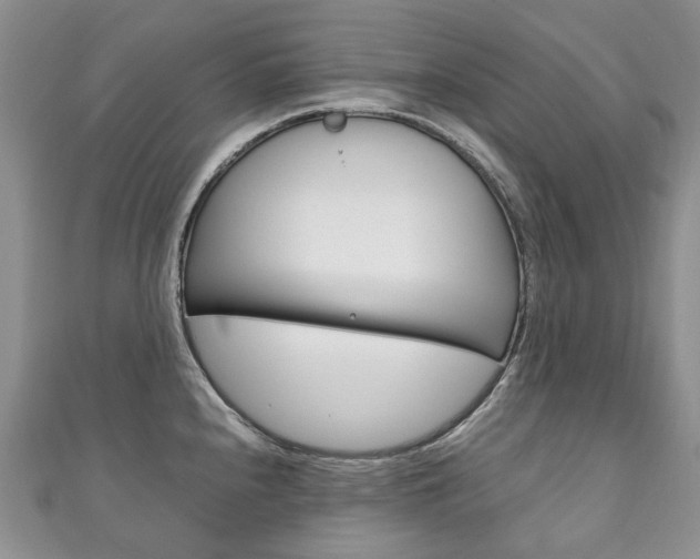 X0000111211240200907011044