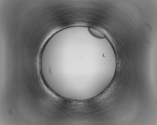 X0000111211243200907011044